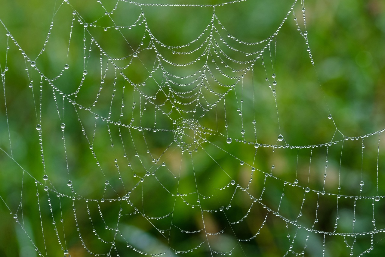 découvrez les compétences essentielles pour réussir dans le développement web : langages, frameworks, outils et bonnes pratiques pour tous niveaux.