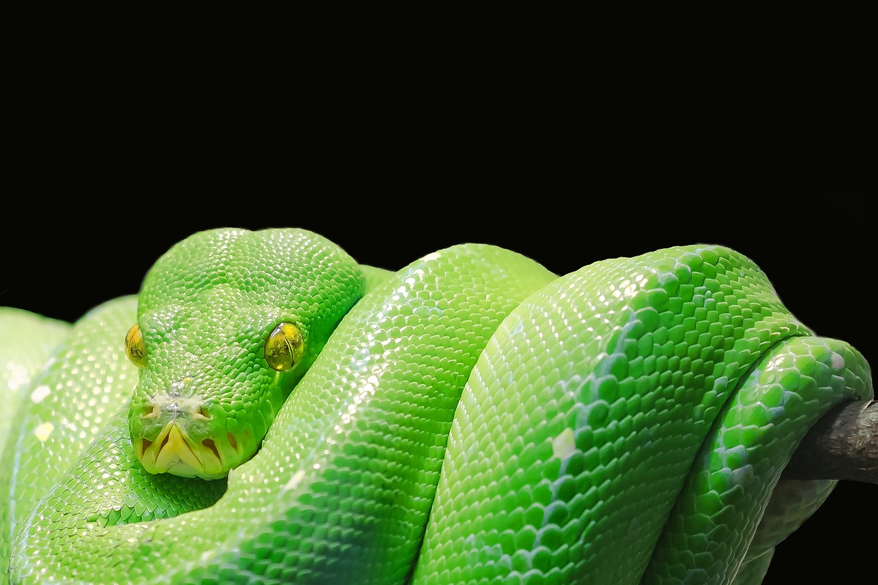 Quels sont les signes qu’un manager est toxique pour l’entreprise ?