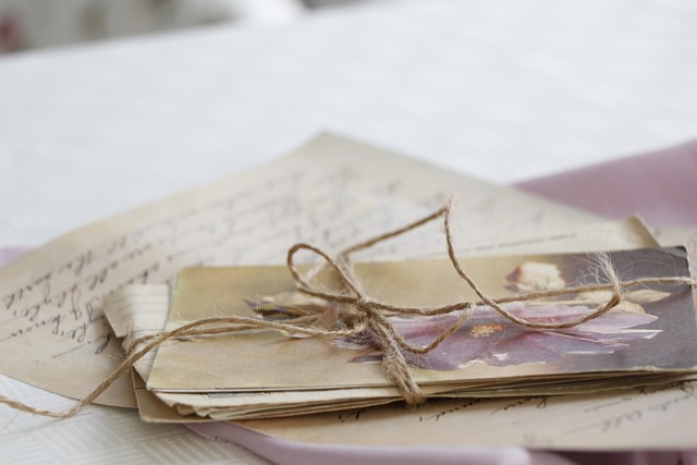 Lettre de motivation fleuriste : comment se démarquer en 2025 ?