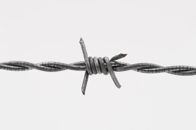 Comment mettre en place un opt-in efficace ?